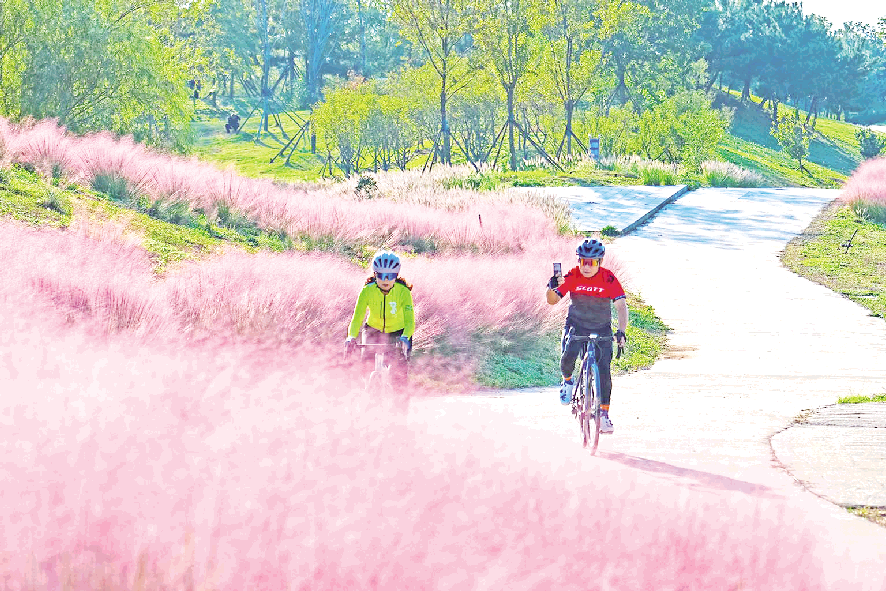 1761215570346036545.png image.png