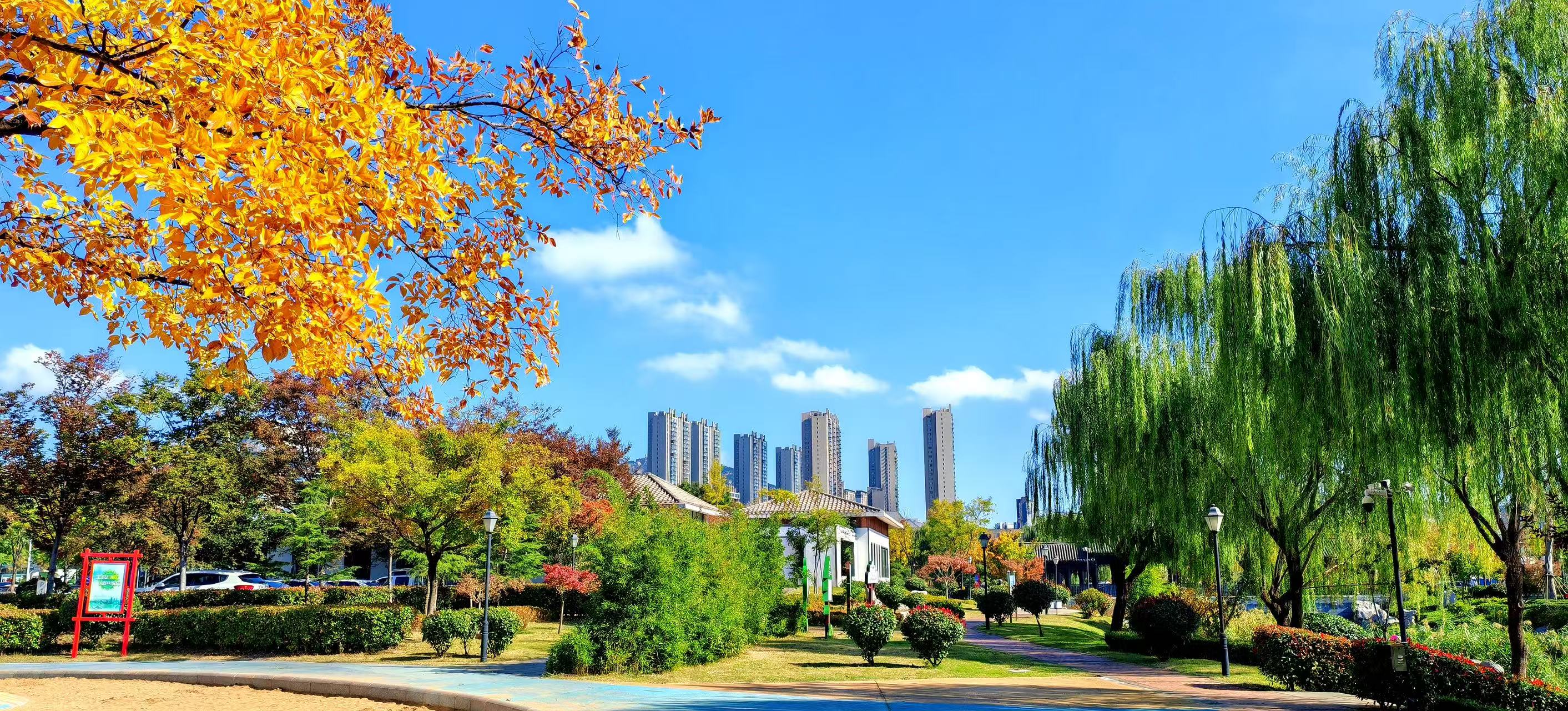 1762482165024024164.jpg af8a6d0f293e9c30814800bd3ddbfc6.jpg