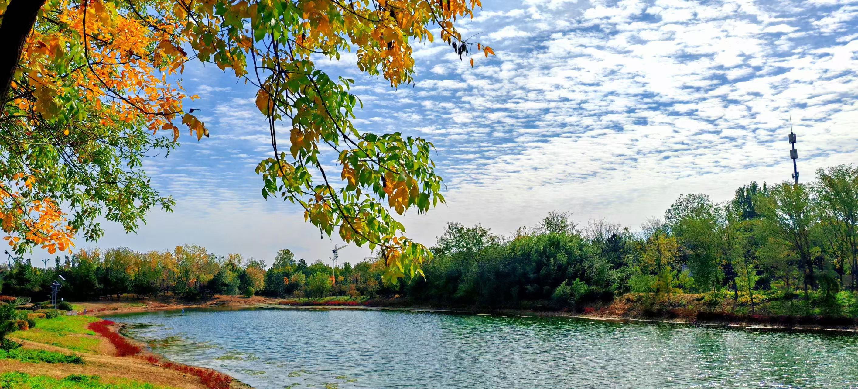 1762482358564068457.jpg fae43c898a77006a3c3a74741253475.jpg