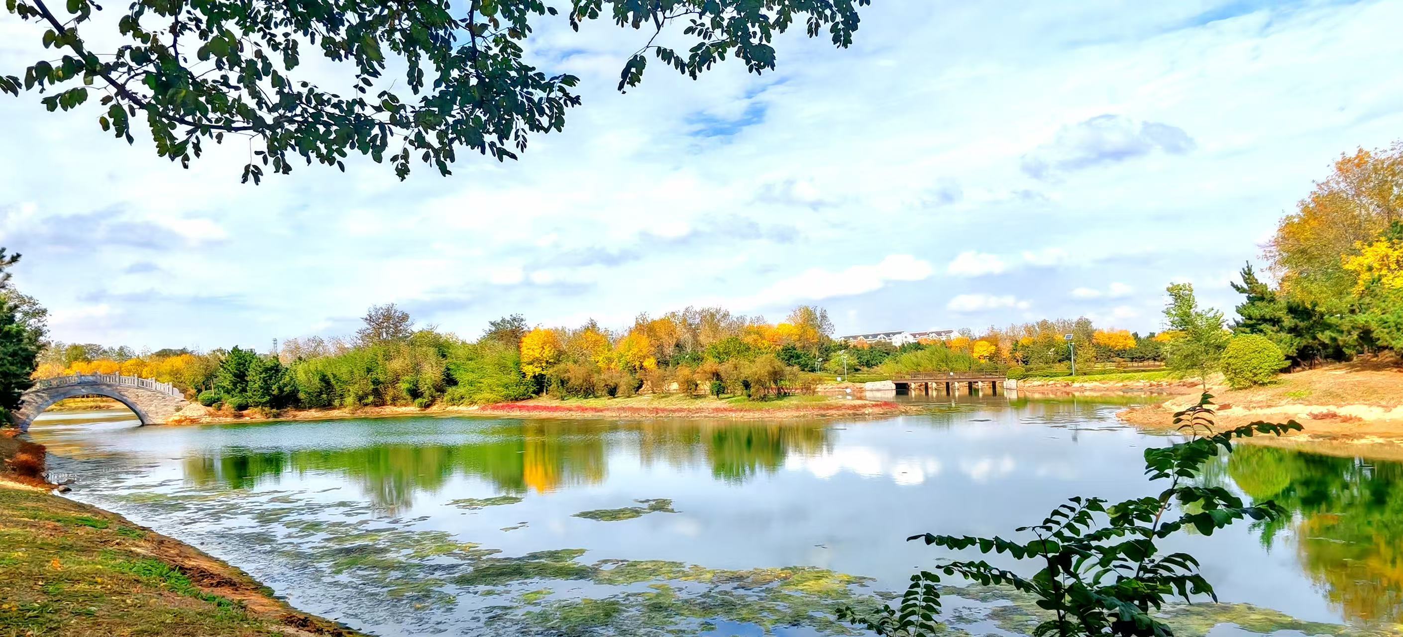 1762482394687037317.jpg 591b442e642a4f06557879233355042.jpg