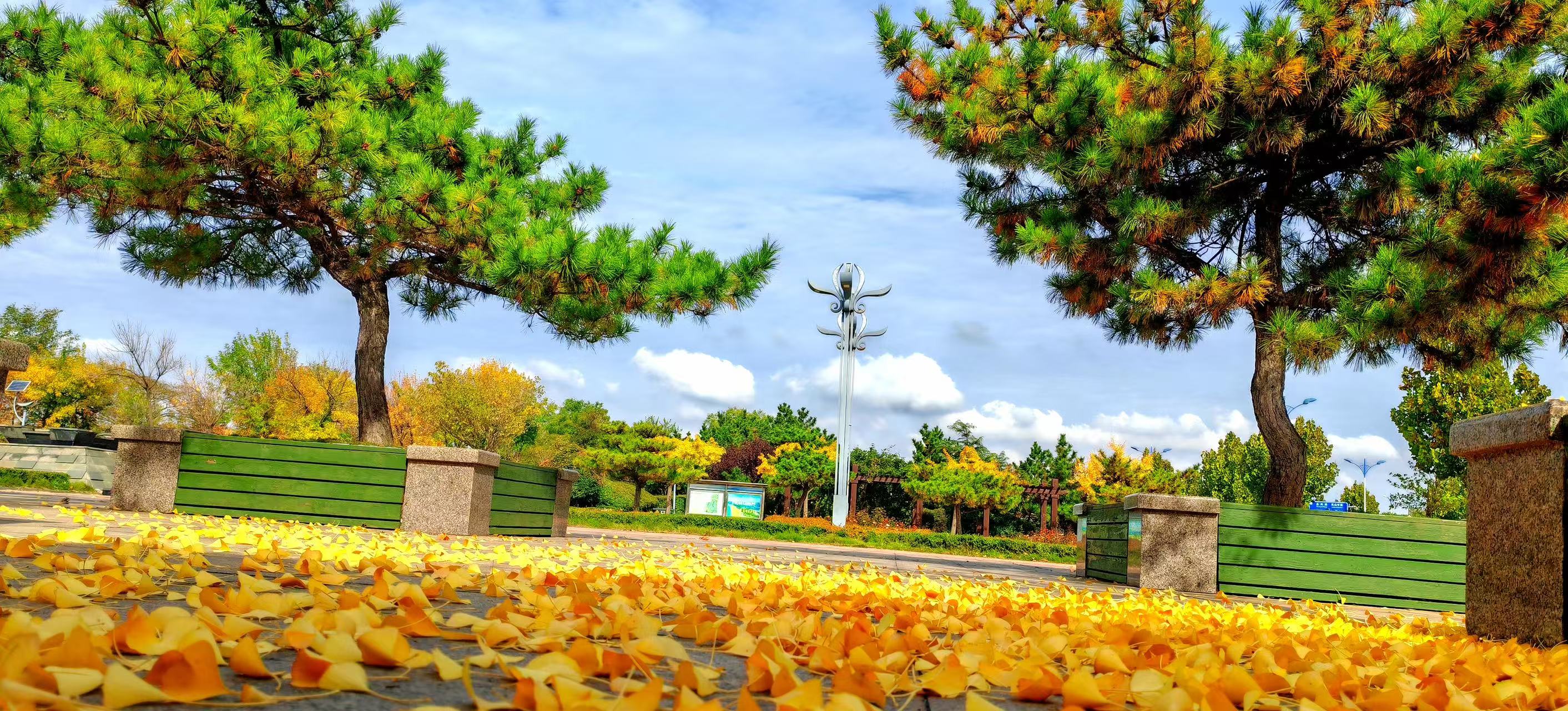 1762482416675010870.jpg 7a45f493ad47bec47f3d1cd0b88c91f.jpg