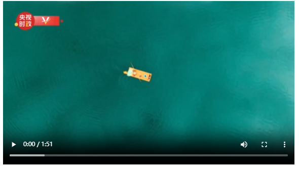 1762571391802045415.png 56e98c52-40a9-4f9b-8ba4-03d90998758e.png