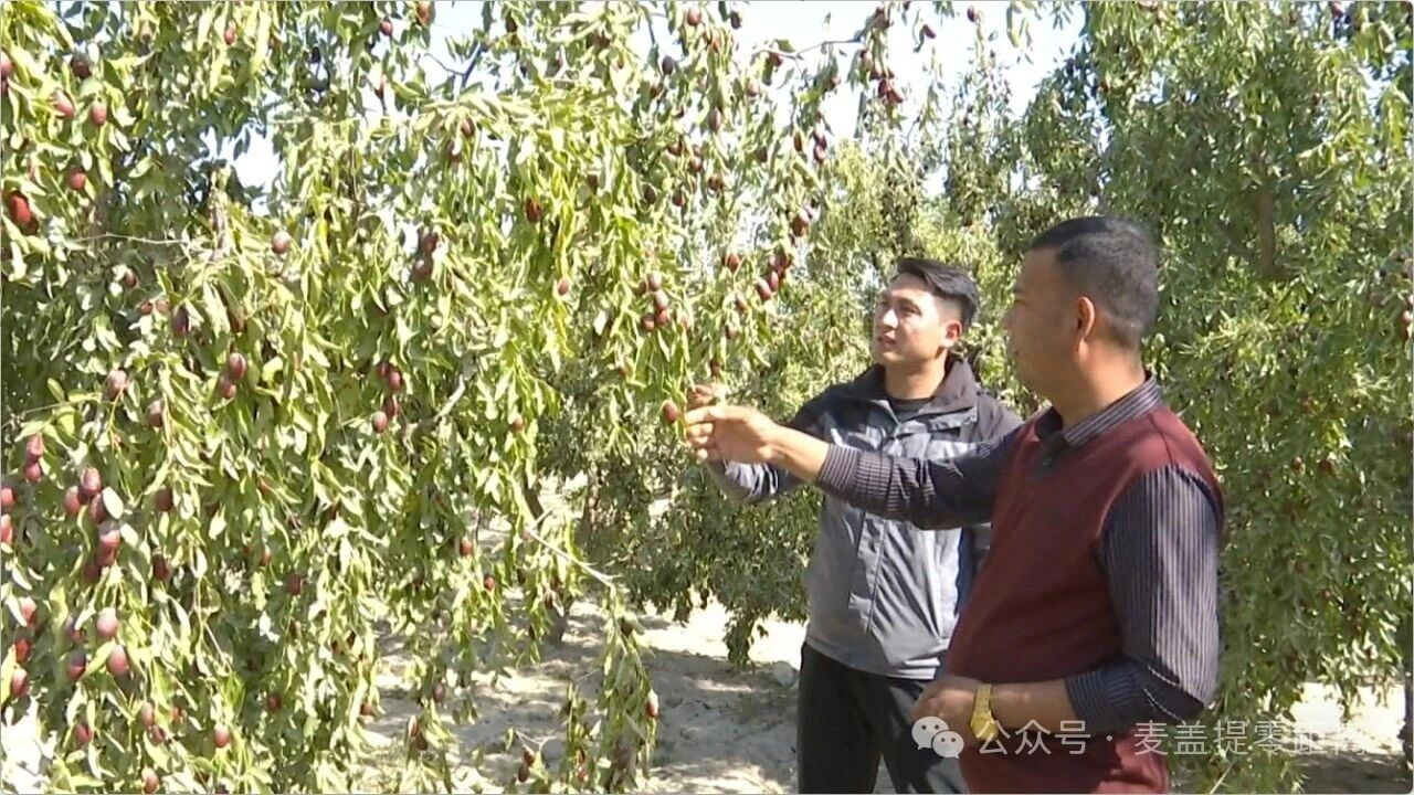 1763346523775015719.png image.png