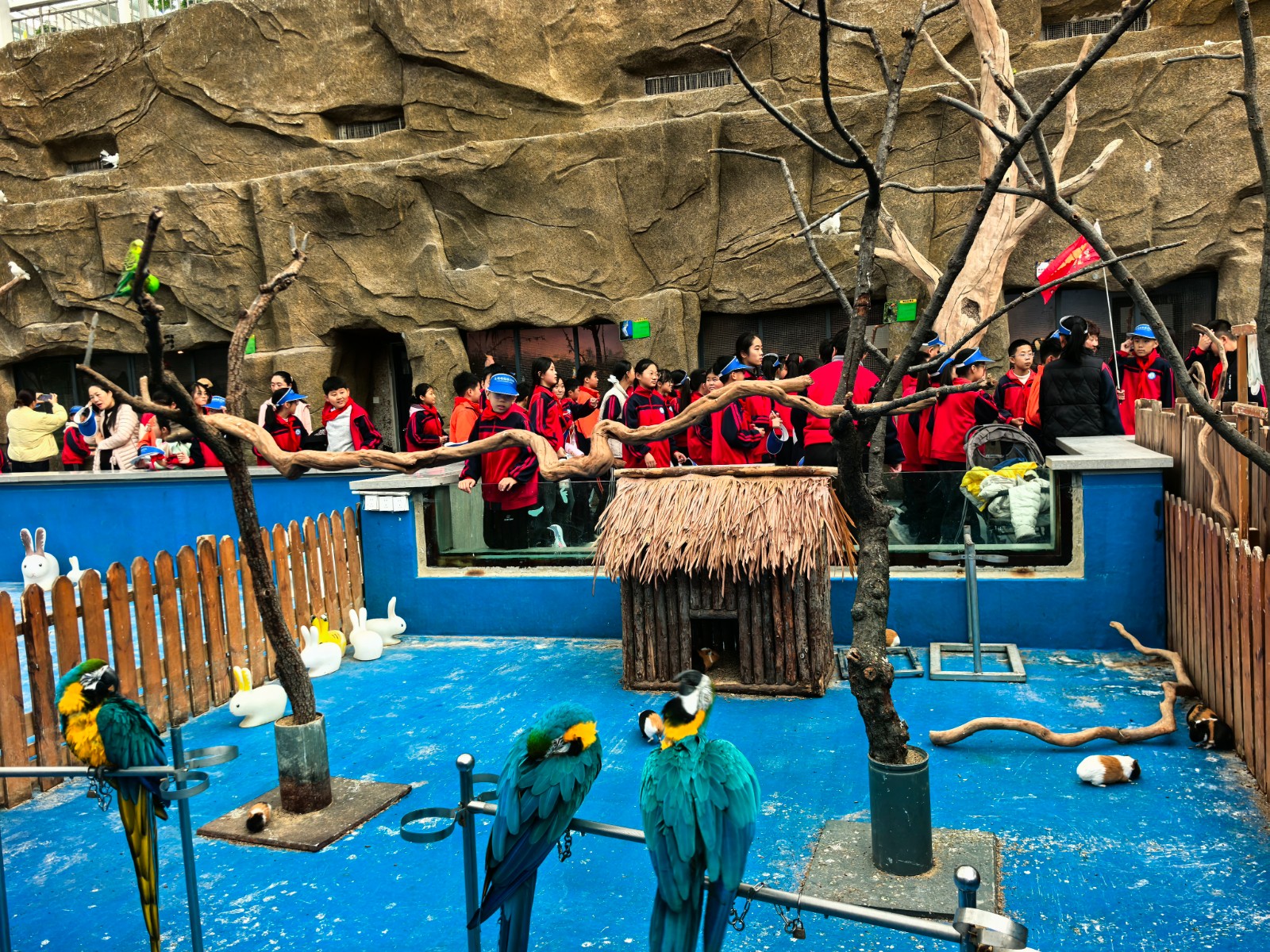 1763364090541065410.jpg 微信图片_20251117151852_993_64.jpg