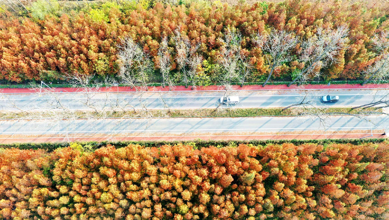 1764638742170063947.png image.png