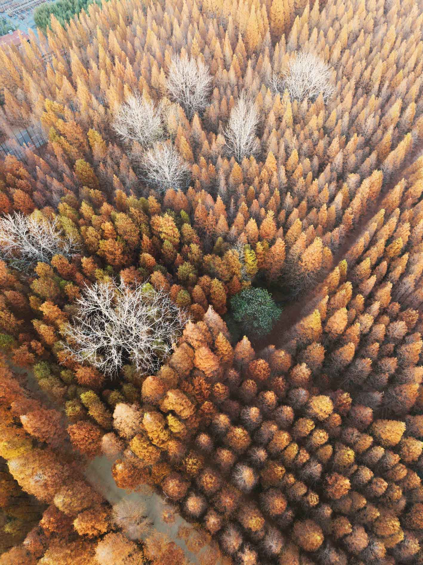 1764638833575044372.png image.png