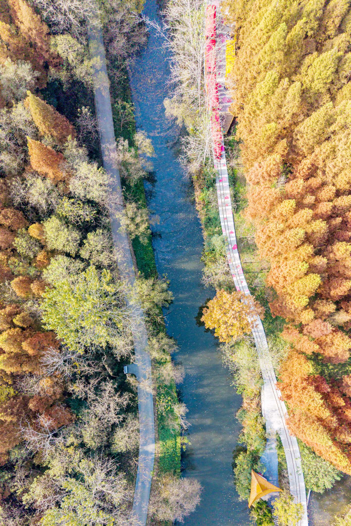 1764638880695072286.png image.png