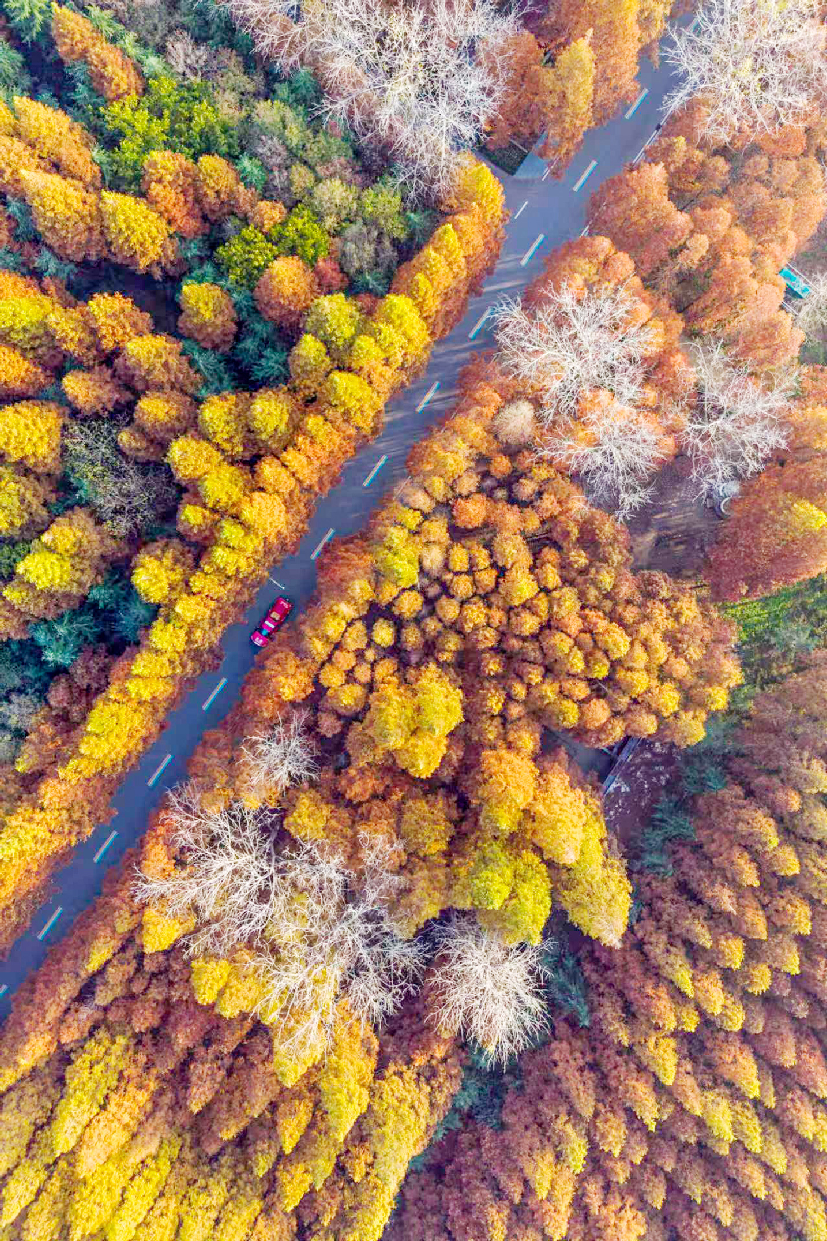 1764638929939017180.png image.png