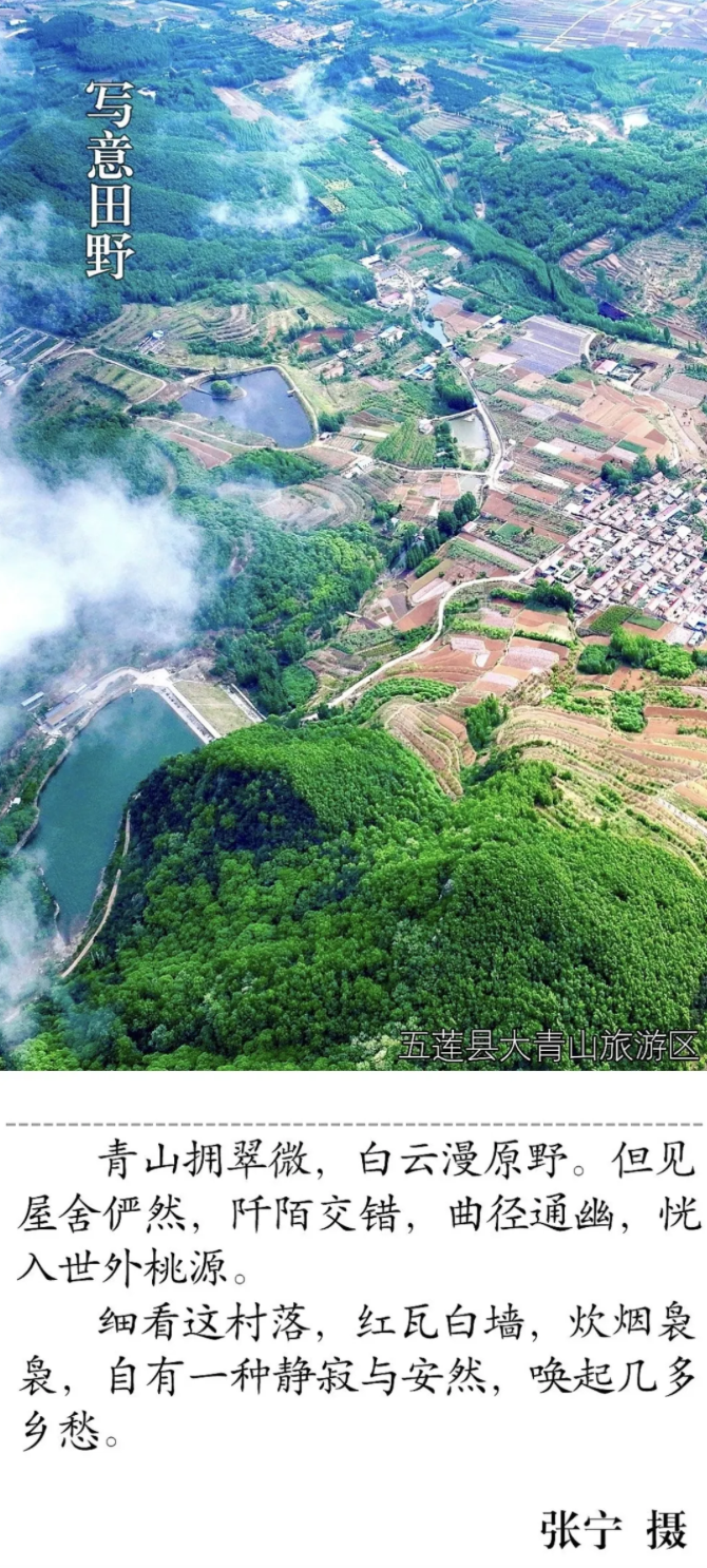 1747525005214003436.png image.png