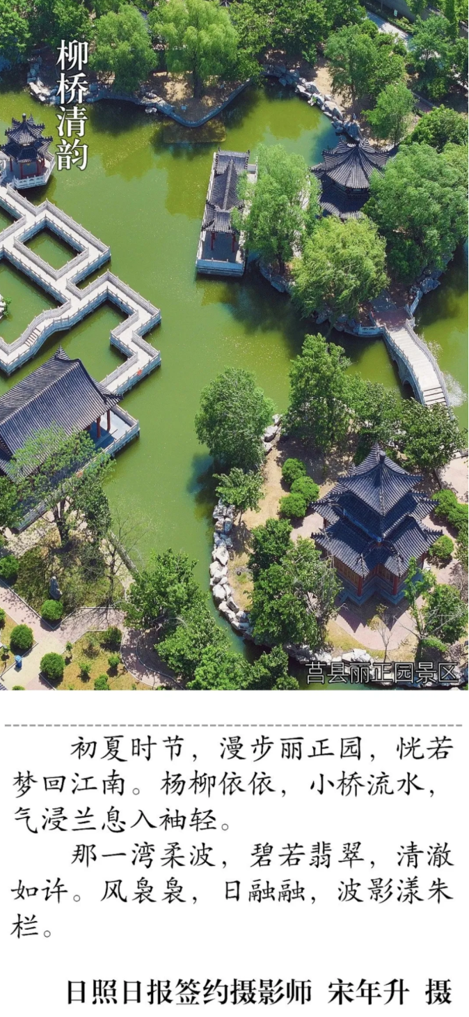 1747525082019033876.png image.png