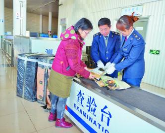 日照截获最大重量非法入境植物产品