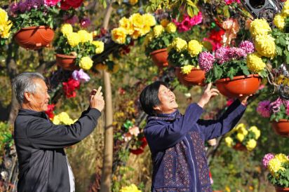 菊蕊盈香醉港城