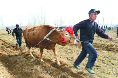 二月二 闹春牛