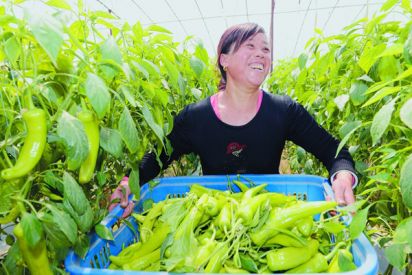 温度低了价格升了