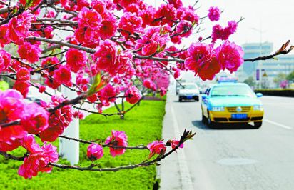春暖花开