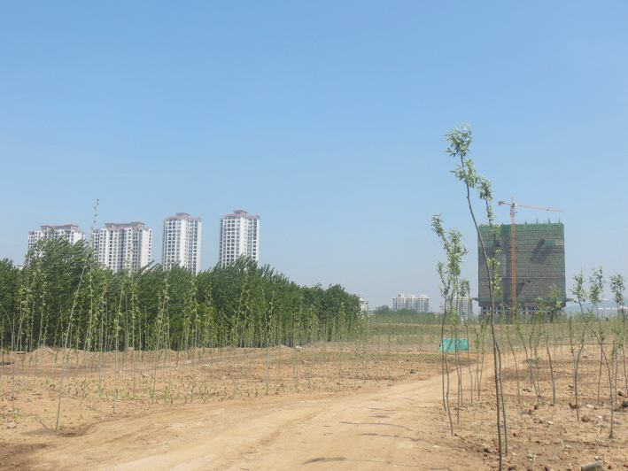 市区2600亩裸露土地穿“绿装”