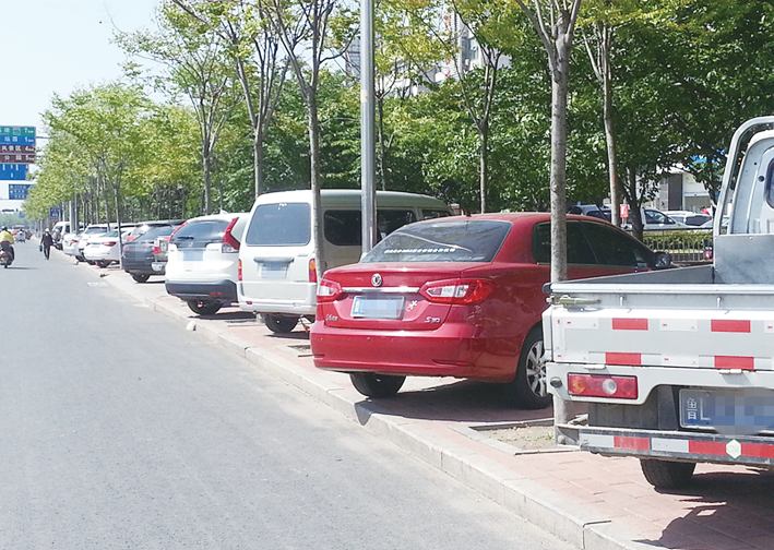 城市绿道屡被“霸占”自行车被逼跑“大路”