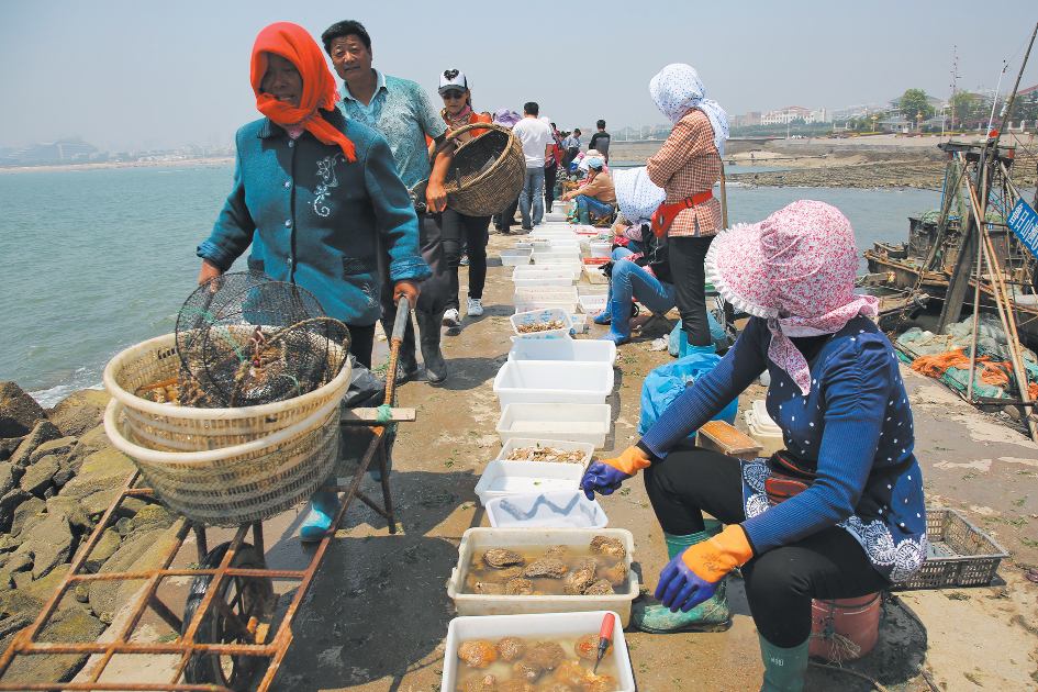 最后一船新鲜海货