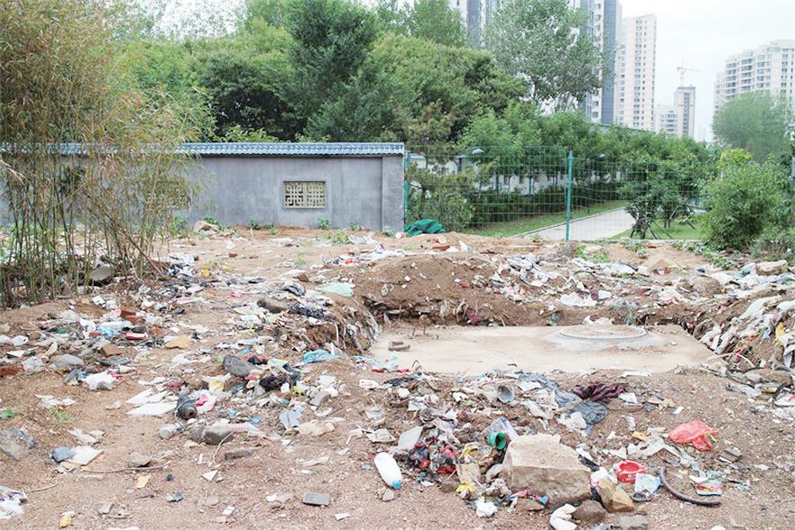 建筑、生活垃圾藏身遮蔽物后