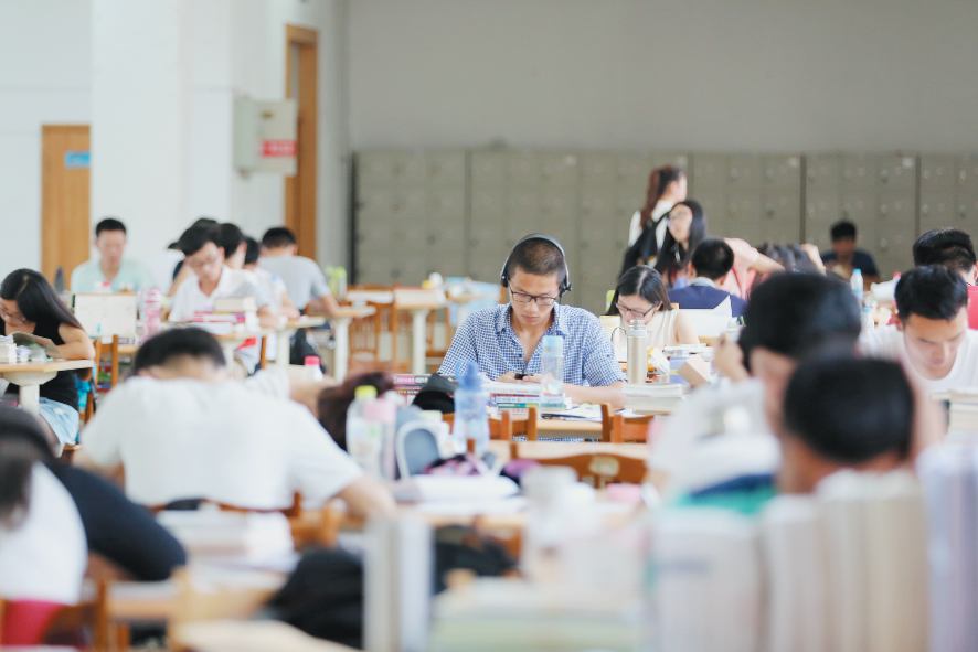畅游书海觅清凉