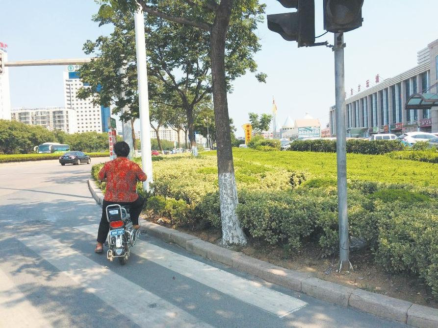 斑马线通向绿化带 过路人该“何去何从”