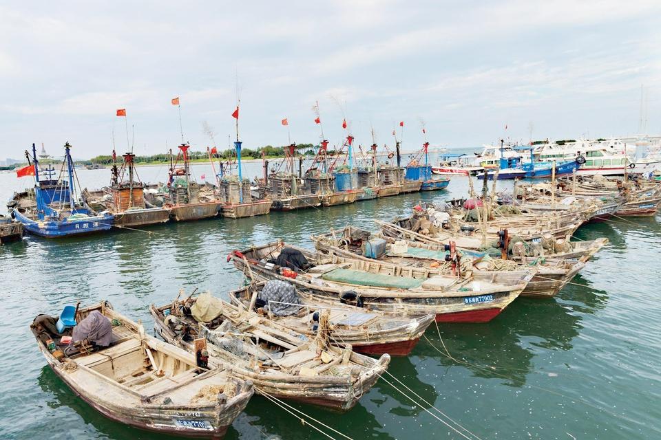 应对“杜鹃”