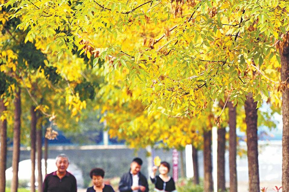 创城，让家园更美好