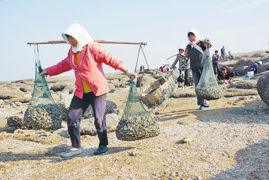 赶海潮