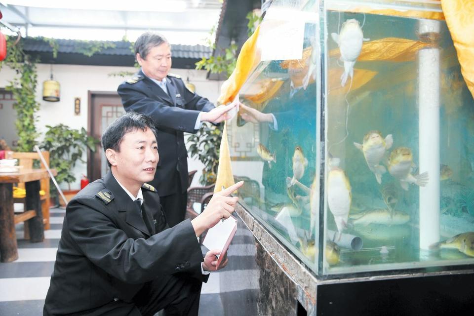 百余条河豚鱼被查封