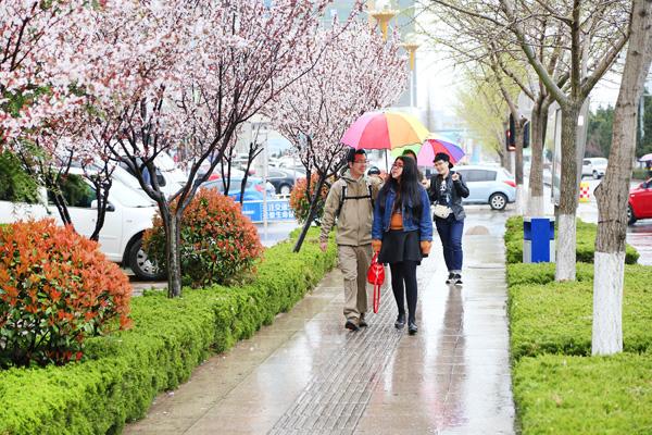 喜迎春雨