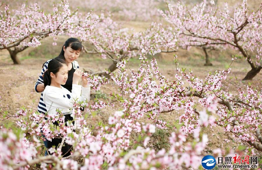 人间四月芳菲至，日照百花等你来