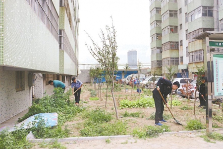 绿化带内除菜忙