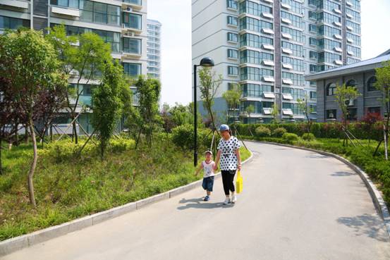 小区业主公园散步脸上笑容洋溢(苏循明摄)