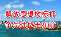 解放思想树标杆 争先进位走在前