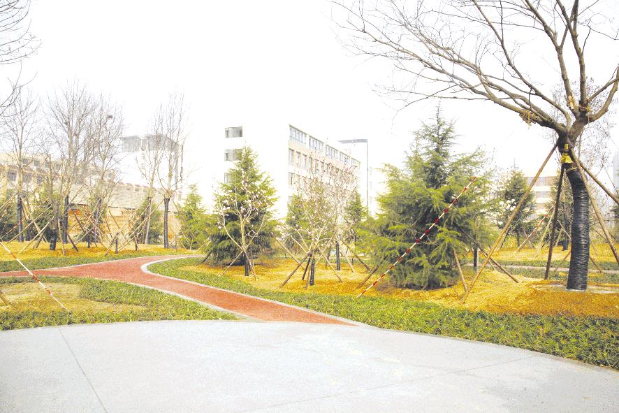 今年市区第一处公园绿地基本建成