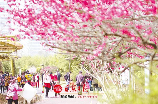 日报20180402A101副本.jpg