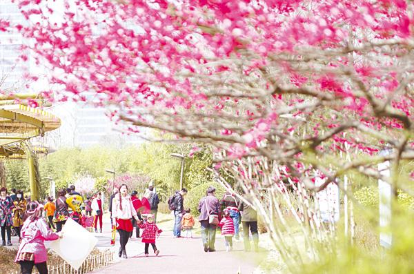 又到踏青赏花时