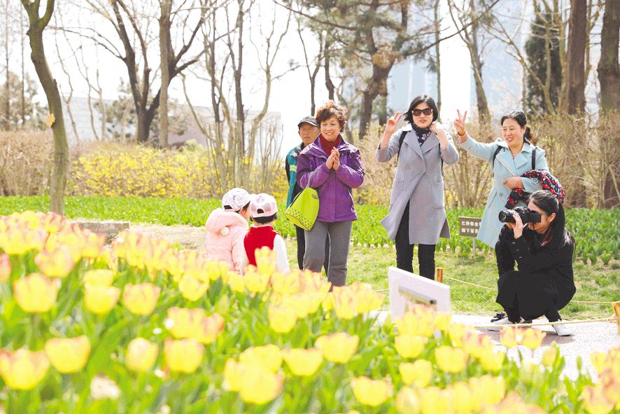 25万株郁金香绽放植物园