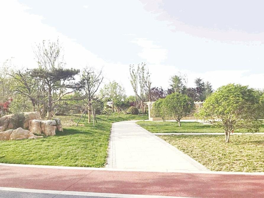 市区又添一处综合性公园