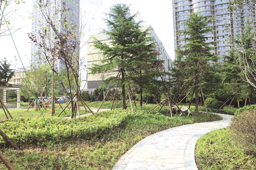 市区又一处街头绿地建成