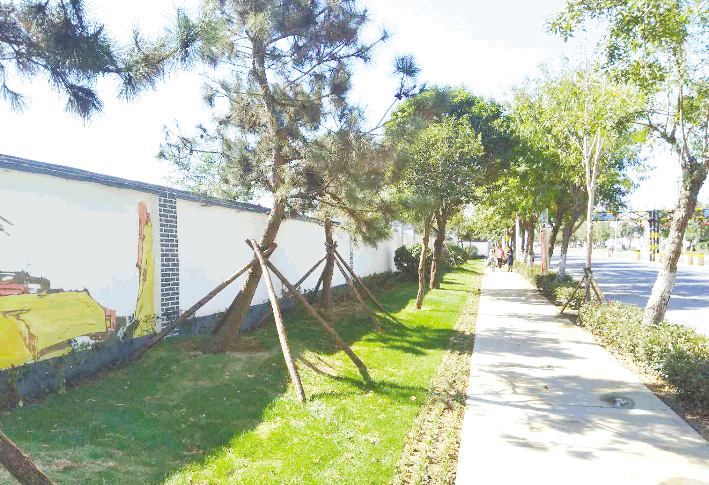 岚山新建一处带状绿地