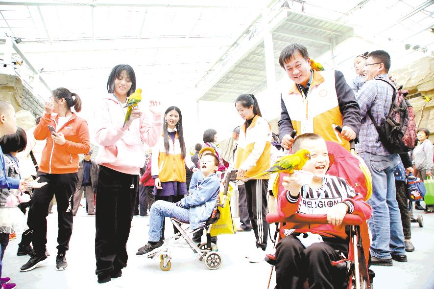 圆折翼天使一个梦