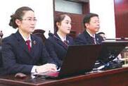 日照市中级人民法院公布执行不能典型案例