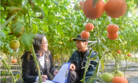 新华社点赞日照文明信用工程