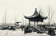 冷空气够吧！最低气温-8℃