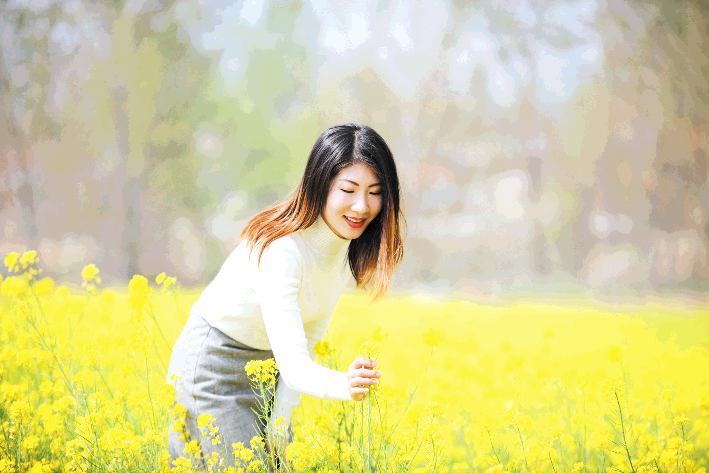 油菜花开引客来