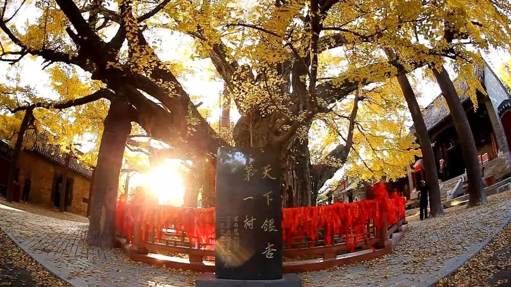 爱上日照，无关风月，只因这四个理由……