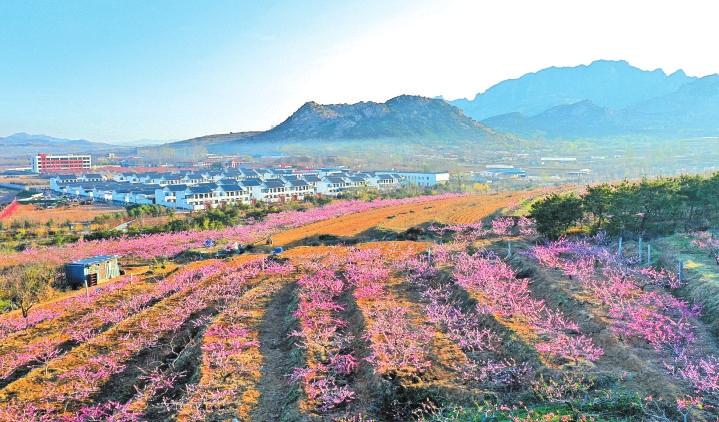 “世外桃园”美如画