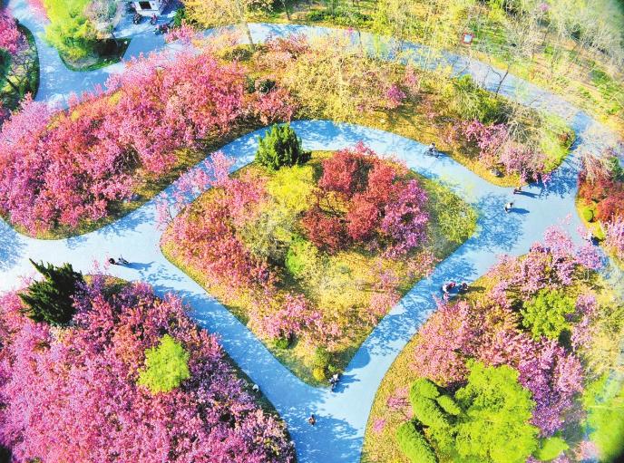 最美人间四月天