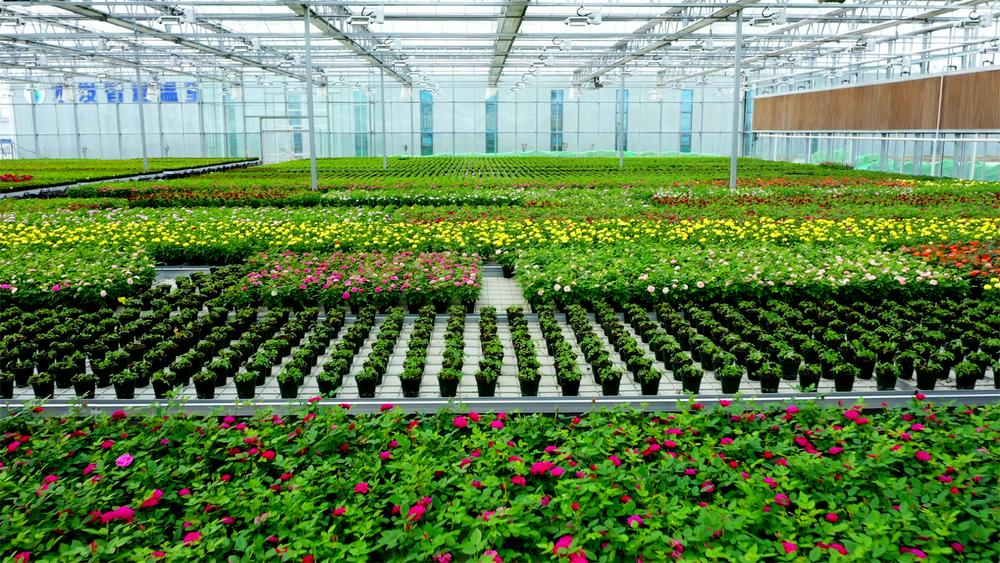 水发集团：用改革创新推进高质量发展